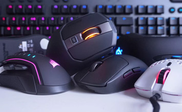 Mouse